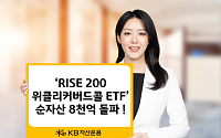 KB자산운용, 'RISE 200위클리커버드콜 ETF' 순자산 8000억 돌파