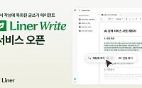 라이너, ‘라이너 라이트’ 출시...직장인 위한 비즈니스 문서 특화 AI