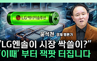 LG, 글로벌 특허전 본격화…조 단위 로열티 현실화되나 [찐코노미]