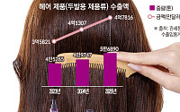 피부 관리 다음은 두피⋯K헤어케어, K뷰티 수출 대열에 합류
