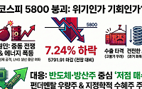 코스피 5800선도 붕괴, 증시 사상 최대인 452포인트 증발…"위기인가, 기회인가?"