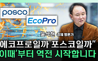 전고체 배터리 승부 가른다…"속도는 에코프로, 원가는 포스코" [찐코노미]