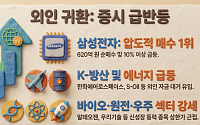 “돌아온 외국인, 무얼 샀나”⋯삼성전자와 방산ㆍ석유株로 몰려