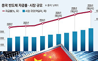 반도체, 생산능력 이미 세계 선두…장비 국산화도 속도 [궤도 오른 中 반도체 굴기 ②]