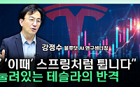 “AI가 스스로 운전 배운다”...테슬라 FSD의 진짜 의미 [찐코노미]