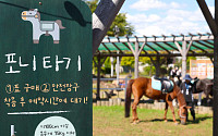 “작은 말과 봄 산책하세요”…렛츠런파크 서울 ‘포니체험’ 14일 재개
