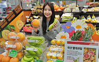 롯데마트, 국산 무농약 바나나·제주 레몬 등 전국 15개점서 선봬
