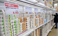 신선란 2억개 추가 수입…동네마트·자영업까지 공급 확대[하반기 경제전략]