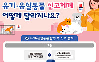 헤매던 유기동물 신고, 이제 한 번에…1577-0954 전용창구 신설