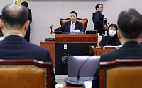 법사소위, '檢 권한 축소' 공소청법 與주도 통과