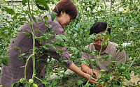 미생물로 수출길 열고 비료는 줄였다…농진청 연구가 바꾼 농업 현장