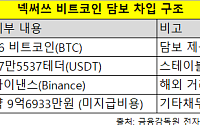 비트코인 담보로 바이낸스서 테더 차입…상장사 가상자산 운용 전략 확장