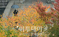[포토]가을을 찍는 카메라