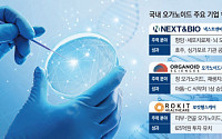 동물실험 대체 ‘오가노이드’ 부상...K-바이오, R&D 강화
