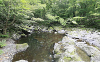 하천·계곡 불법점용시설...제주도 집중단속 나서