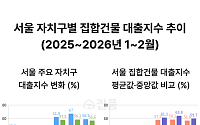 강남 집합건물 대출지수 30%대로 '뚝'⋯강북·도봉·구로는 60%대 유지