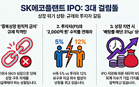 SK에코플랜트, 중복상장 금지 파고에 '진퇴양난'…IPO 가시밭길 예고