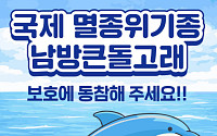 제주도 '돌고래 관광' 방식 전환