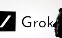 ‘소라’ 철수하자...머스크 “그록 동영상 생성에 박차를 가할 것”