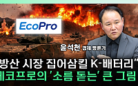 2차전지, 자동차 넘어 ‘전장의 핵심’…에코프로 주목해야 할 이유 [찐코노미]
