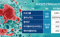 ‘국산 항암신약’ 미국 AACR 집결…기전·적응증 주목[항암시장 공략, K바이오①]