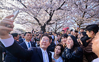 李대통령, 윤중로 깜짝 방문…시민들과 벚꽃길 소통