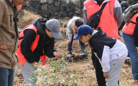 한국관광공사, 제주 비양도 ‘올리브 식수’로 관광객 유입률↑