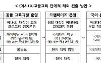 “프랜차이즈 풀었더니 ‘돈·교원’ 막혔다”…교육부, 대학 해외진출 규제 추가 완화
