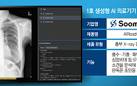 생성형 AI 의료기기 시대 개막…의료AI 시장 판도 바뀔까 [의료AI 고도화①]