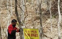 임산물 채취 등 봄철 산림 불법행위...전북도 특별단속