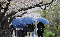 전국 봄비... 내일부터 맑음 [포토]