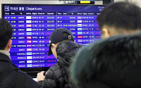 '돌풍 영향' 제주도 항공기...200여편 결항