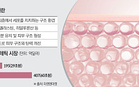 ‘볼륨→재생’ 전환…K에스테틱, ECM 포트폴리오 강화