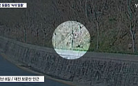 탈출 늑대 '늑구'는 어디에…사흘째 추적 속 '가짜 정보' 변수