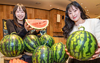 [포토] 현대그린푸드 “올해 첫 수확 ‘함안 수박’ 예약하세요”