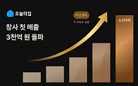 오늘의집, 불황 뚫고 ‘매출 3000억 시대’ 활짝