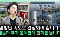 테슬라, 위기라더니…아직 끝난 게 아닌 이유 [찐코노미]