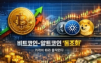 비트코인이 오르면 알트코인도 뛸까…시장 ‘동조화’의 진짜 이유 [e가상자산]
