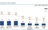 “K-소비재, 인도 중산층에서 차세대 성장 동력 찾아야”