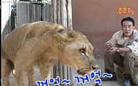 "사자 위에 앉아 있던 그 아저씨가…" 알고보니 늑구 아빠