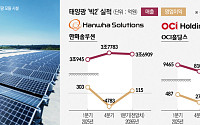 中 규제ㆍ美 관세 반사이익 가시화…국내 태양광 ‘이중 수혜’ 기대