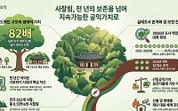 사찰림 8만5000ha 첫 체계화…산림청, 공익가치 보전 틀 깐다