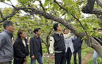 배 등 저온 피해ㆍ 원자재 급등 농가 호소...순천시 현장점검 나서