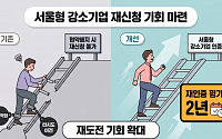 서울시, 불필요 행정 규제 대수술…강소기업 취소기업 2년 뒤 재신청 허용