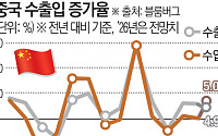 AI 칩 흡입하는 중국⋯올해 수입 증가율, 5년 만에 수출 웃돌 전망