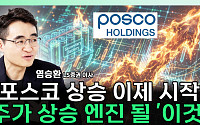 '리튬값 4배 반등'에⋯포스코홀딩스, 재평가 기대 커지나 [찐코노미]