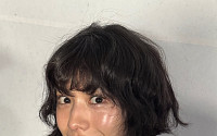 "나나가 공격" 피고인의 역고소…이런 책임 회피는 역효과 [수사와 재판]