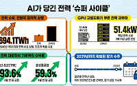 AI발 전력난 우려에 전력株 '급속충전'…전력 ETF 한 달 새 79%↑