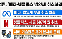 법원 “메타 법인세 취소”…글로벌 플랫폼 과세 흔들