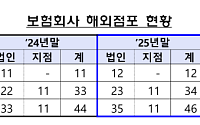 보험사 해외점포 46곳으로 확대⋯지난해 순이익 1.9억달러